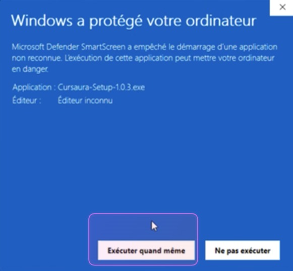 Cliquer sur Exécuter quand même